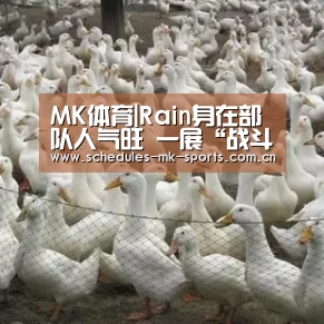  MK体育